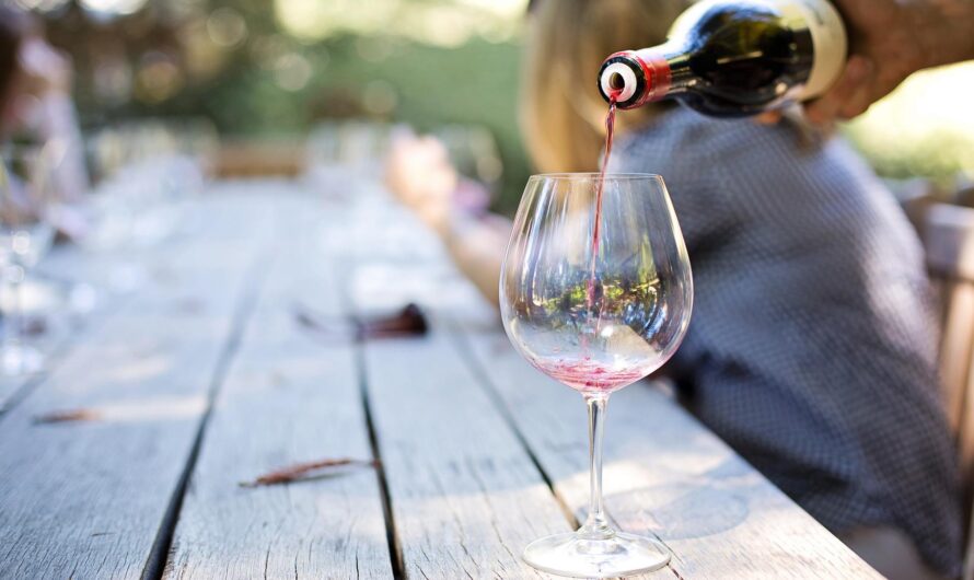Petit Verdot: Saiba sobre essa uva e como apreciar um bom vinho!