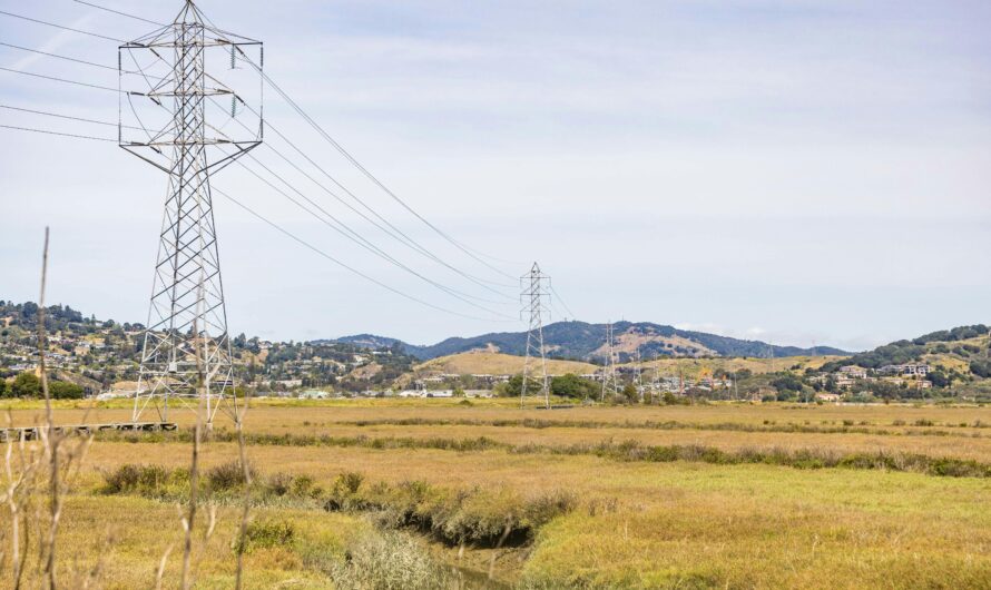 Reforma do setor elétrico: o que está mudando e como isso afeta você