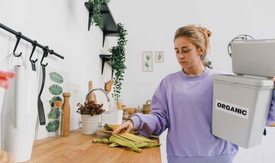 Como evitar desperdício e manter a qualidade dos alimentos em casa