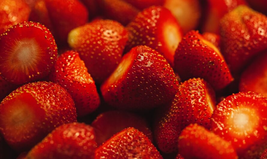 Produção hidropônica de morango: soluções nutritivas para frutos de alto brix