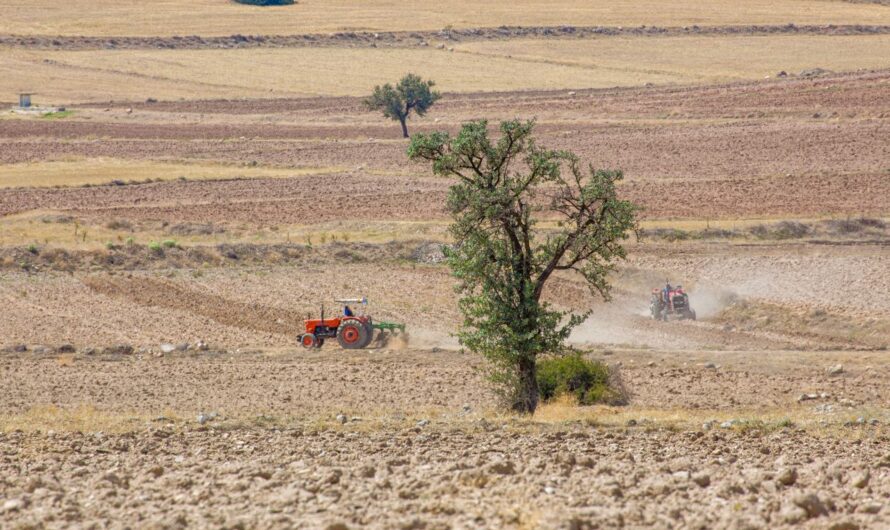 Solos tropicais e substâncias húmicas: um desafio para a agricultura brasileira